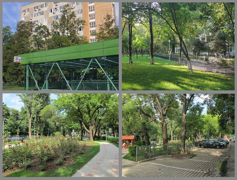 Drumul Taberei Favorit